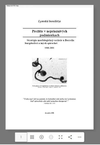 Flip 3D Štúdie na tému Lymská borelióza a Borrelia burgdorferi