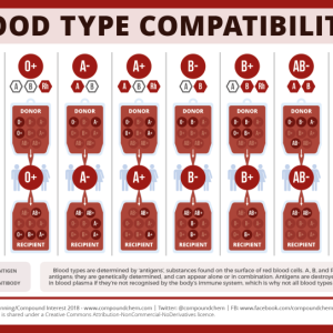 Krvn&eacute; skupiny
