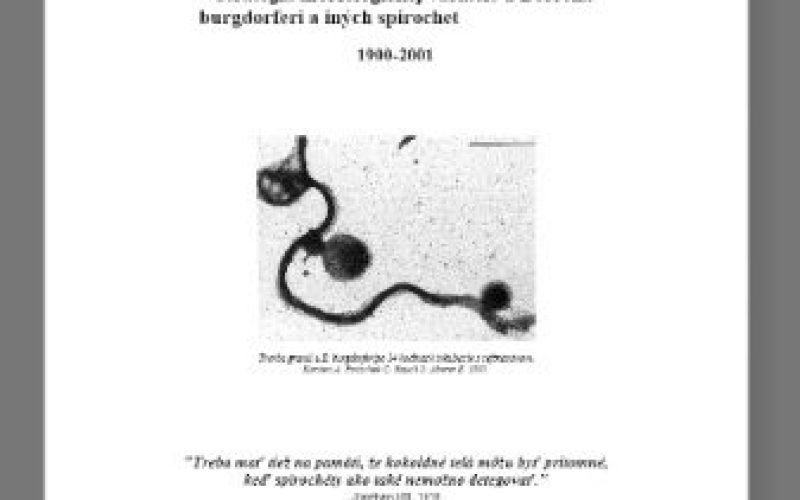 Flip 3D &Scaron;t&uacute;die na t&eacute;mu Lymsk&aacute; boreli&oacute;za a Borrelia burgdorferi