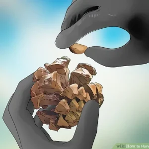 Ako zbierať p&iacute;niov&eacute; orie&scaron;ky