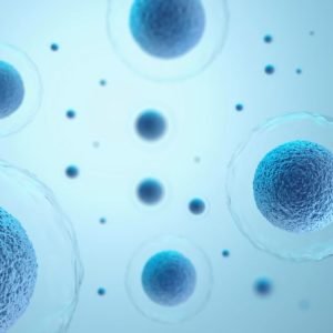 Porozumenie ako funguje v&yacute;živa buniek