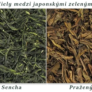 Ingrediencie zelen&eacute;ho čaju